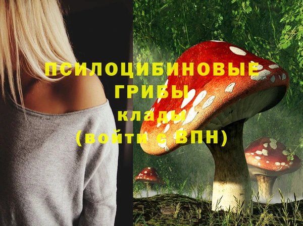 амфетамин Козловка