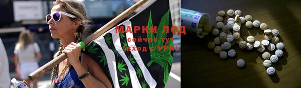 прущая мука Арсеньев