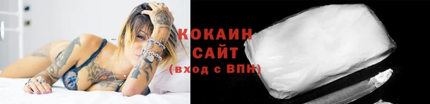 стафф Армянск