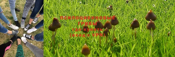 прущая мука Арсеньев