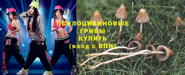 стафф Армянск