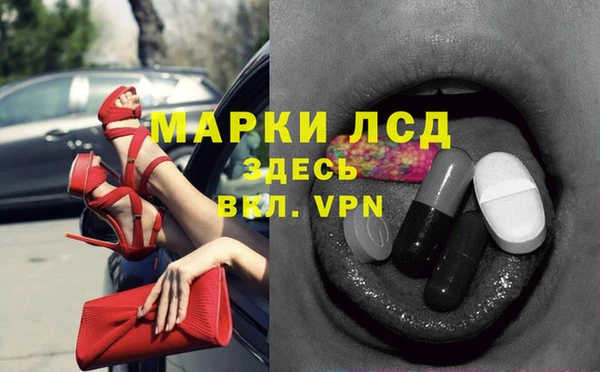 сатива Аркадак