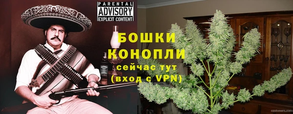 сатива Аркадак