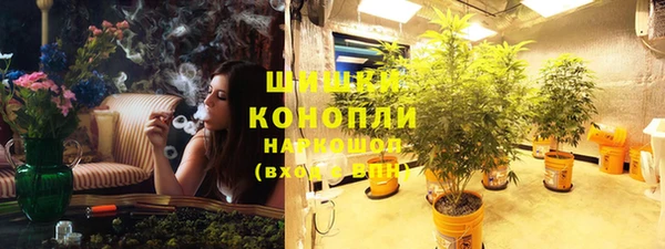 сатива Аркадак