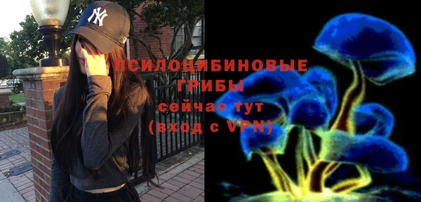 сатива Аркадак