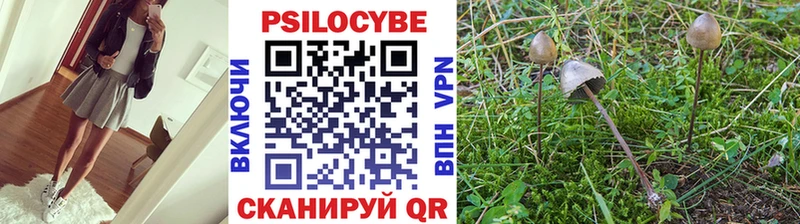 OMG маркетплейс  Кукмор  даркнет состав  Галлюциногенные грибы ЛСД 